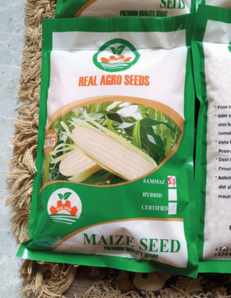 Certified Real Agro maize seeds